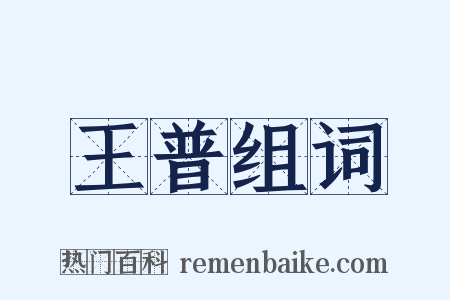 王普组词是什么意思的图片
